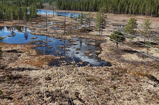Ledningsgata med stolpar i våtmark och kabel hängande över några mindre sjöar. Fotad i fågelperspektiv med drönare.